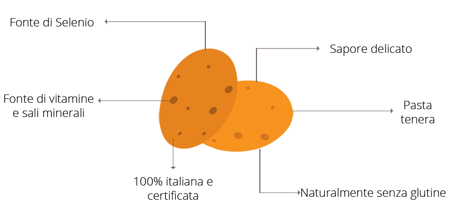 I benefici della patata novella Selenella