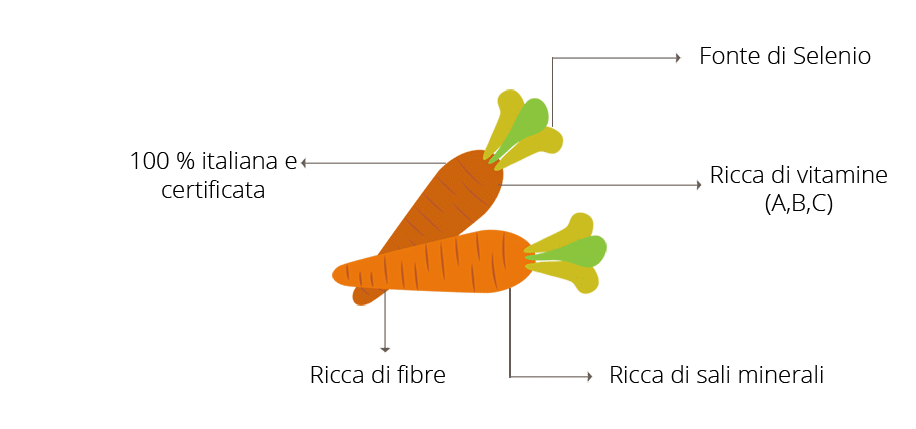 I benefici delle carote Selenella