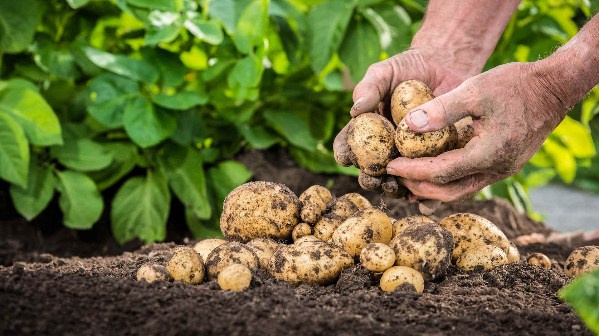 Agricoltori prima in sostenibilità