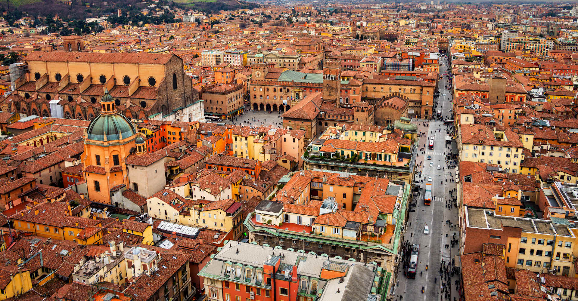 I duecento anni della patata a Bologna - Il Blog di Selenella