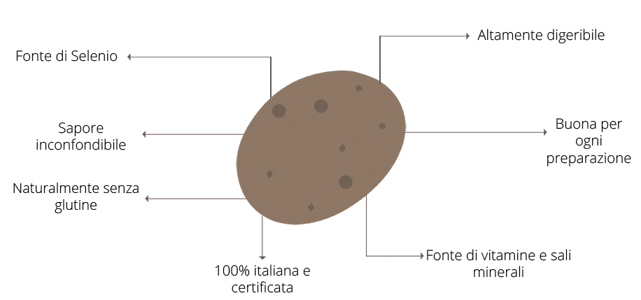 I benefici della patata classica Selenella