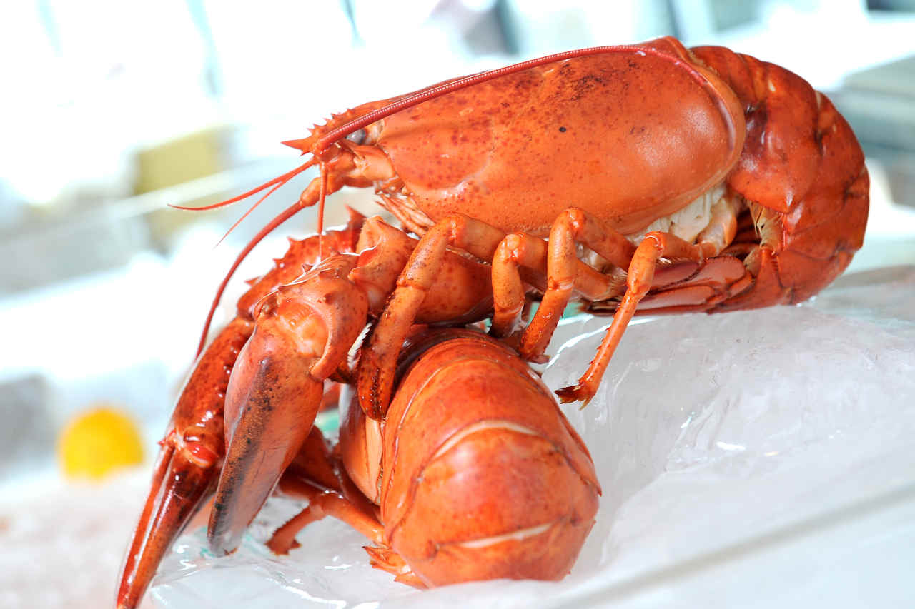 Astice rosolato con patate Selenella al wasabi e basilico croccante - Ricette Selenella