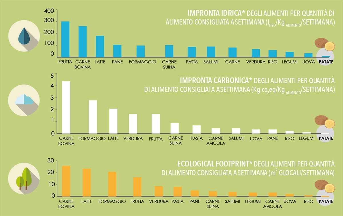 Grafico Sostenibilità ambientale
