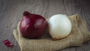 Cipolle rosse e bianche Selenella