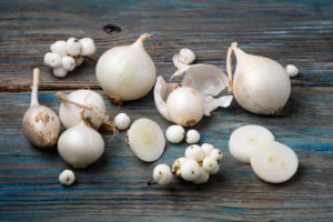 Cipolle bianche Selenella