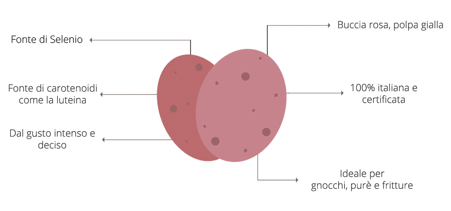 I benefici della patata rosè Selenella
