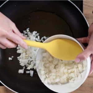 foto-cipolla-tritata