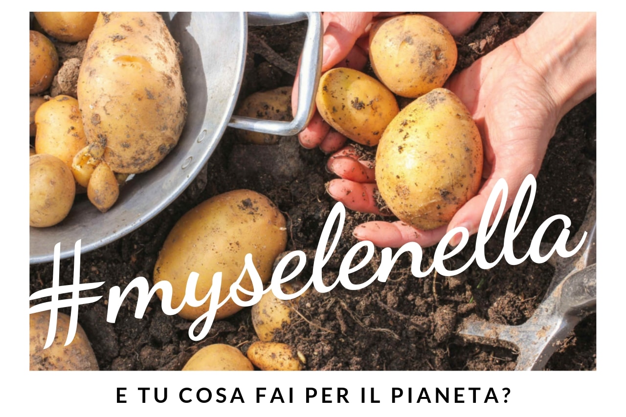 Cos’è #myselenella? - Il Blog di Selenella