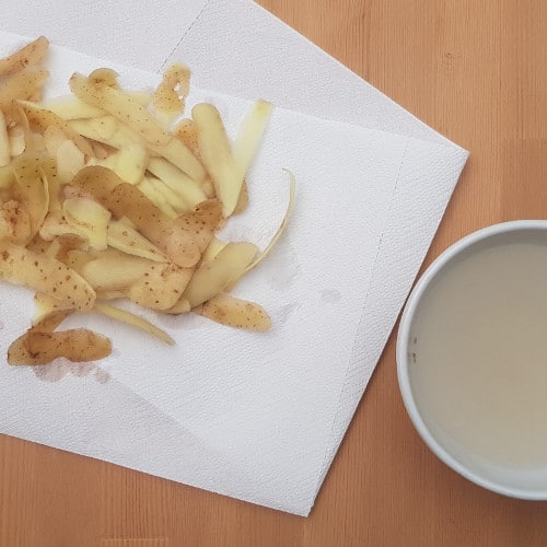 Bucce di patata fritte con salsa guacamole - Ricette Selenella