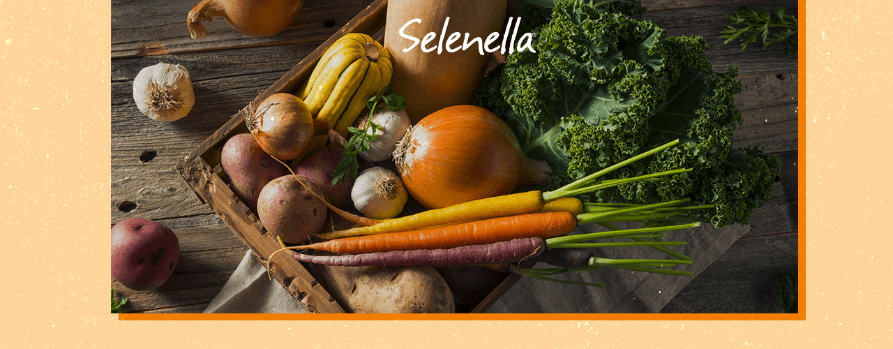 Selenio: benefici per i capelli e la cura del corpo Selenio: benefici per i capelli e la cura del corpo - Il Blog di Selenella
