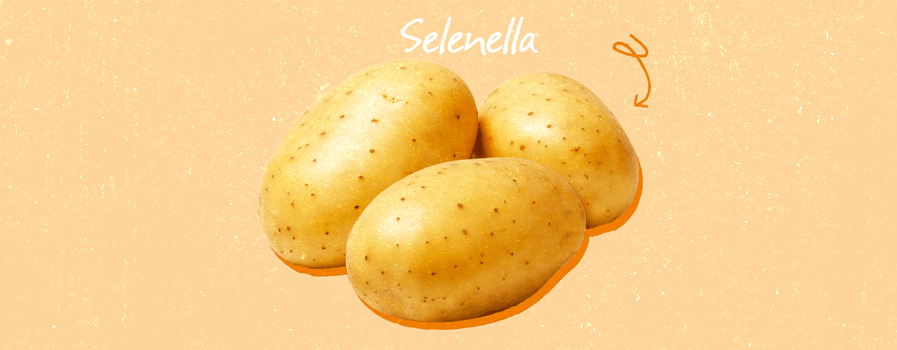 Alimenti ricchi di potassio: patate, frutta e legumi Alimenti ricchi di potassio: patate, frutta e legumi - Il Blog di Selenella