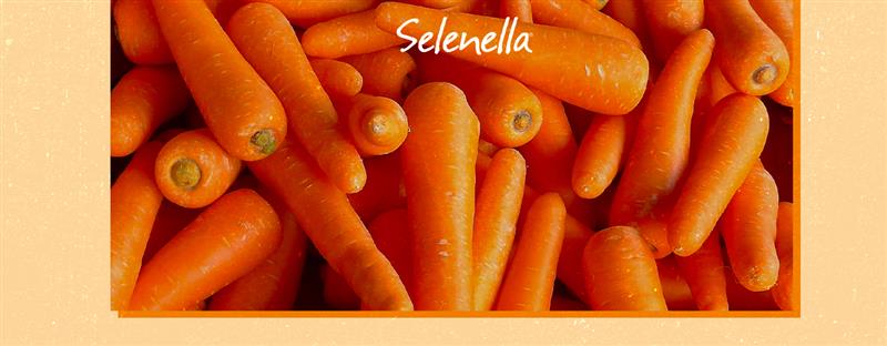 I valori nutrizionali delle carote: un ottimo alleato di salute e bellezza I valori nutrizionali delle carote: un ottimo alleato di salute e bellezza - Il Blog di Selenella