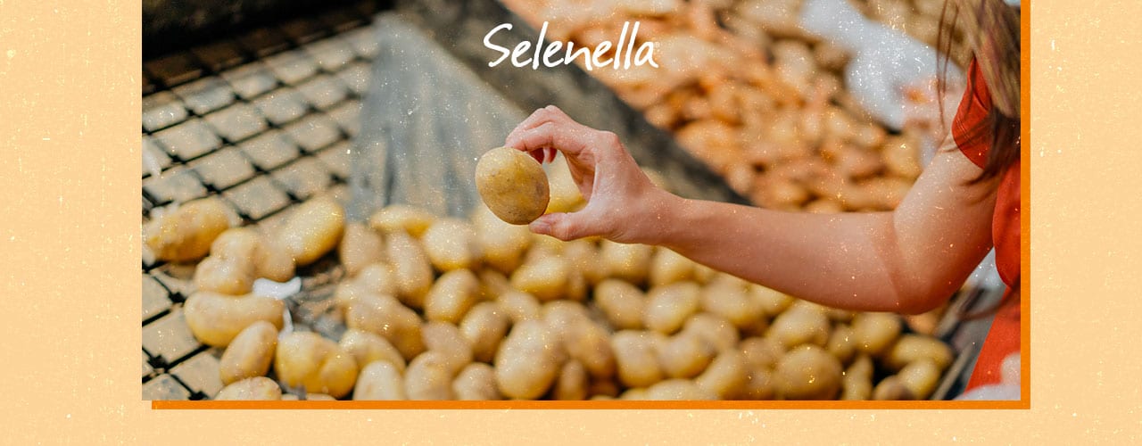 Come si ottengono le certificazioni di qualità nel settore agroalimentare? Come si ottengono le certificazioni di qualità nel settore agroalimentare? - Il Blog di Selenella