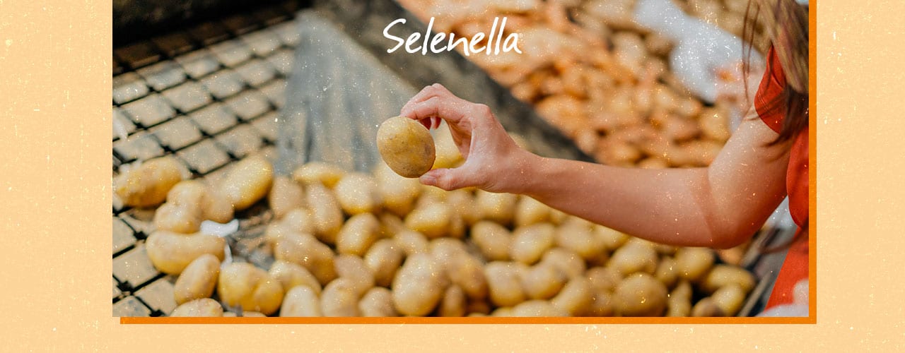 Come si ottengono le certificazioni di qualità nel settore agroalimentare? - Il Blog di Selenella