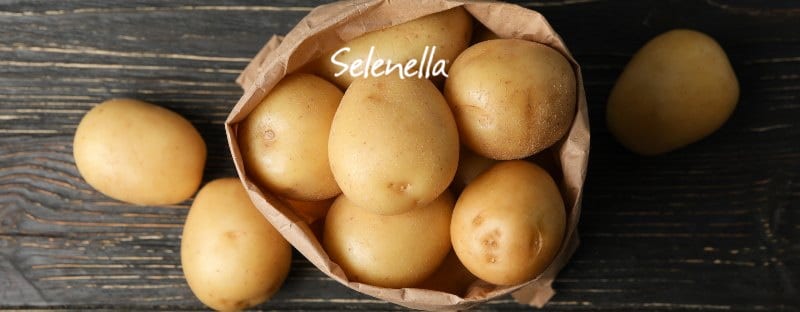 Patate bianche: proprietà, valori nutrizionali, come cucinarle - Il Blog di Selenella