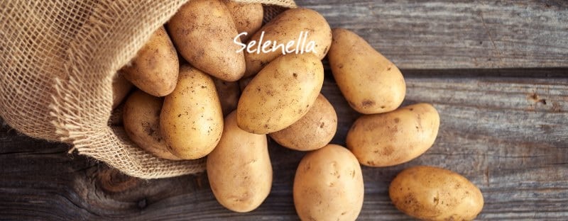 Patate gialle: proprietà, valori nutrizionali, come cucinarle - Il Blog di Selenella