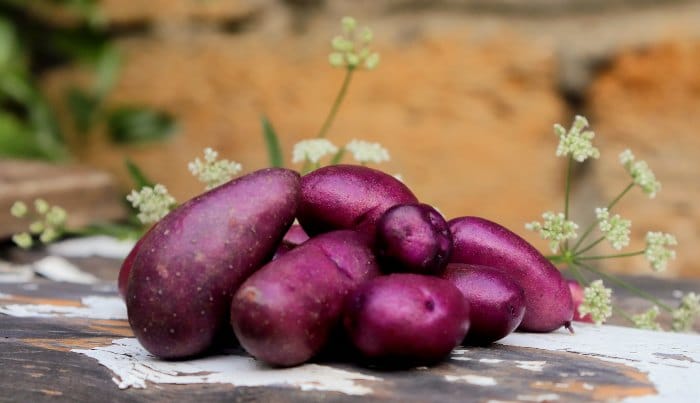 Patate viola o nere