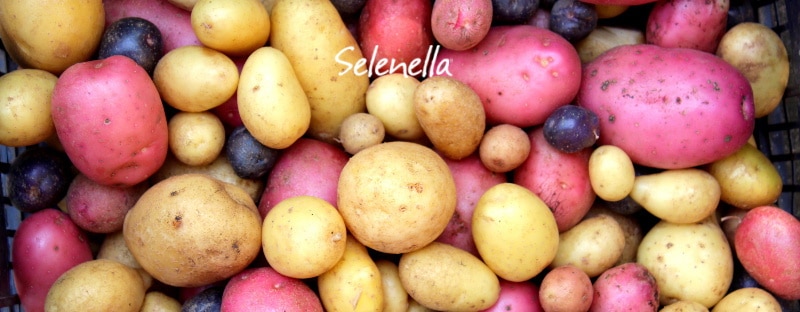 Tutti i tipi di patate - Il Blog di Selenella