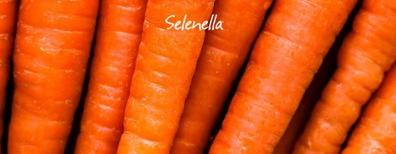 Carote arancioni: proprietà, valori nutrizionali, come cucinarle - Il Blog di Selenella