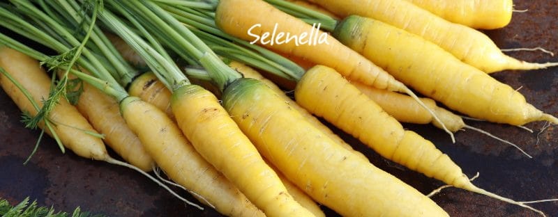 Carote gialle: proprietà, valori nutrizionali, come cucinarle - Il Blog di Selenella