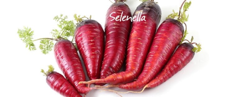 Carote rosse: proprietà, valori nutrizionali, come cucinarle - Il Blog di Selenella