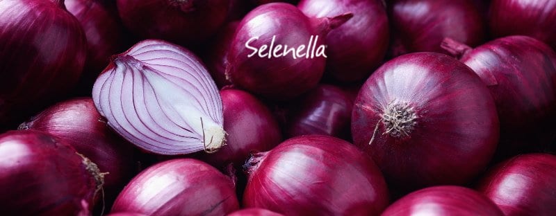 Cipolle rosse: proprietà, valori nutrizionali, come cucinarle - Il Blog di Selenella