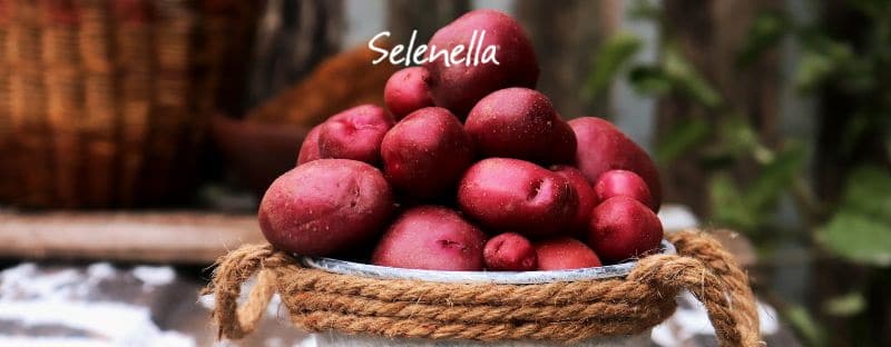 Patate rosse: proprietà, valori nutrizionali, come cucinarle - Il Blog di Selenella