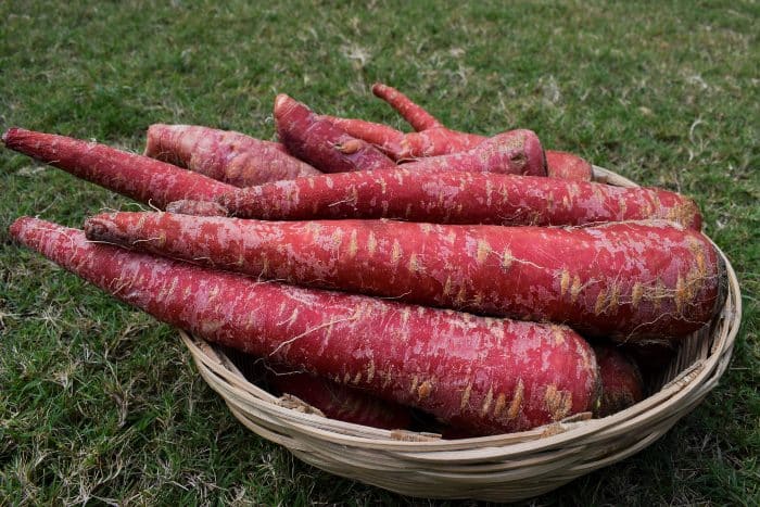 Proprietà delle carote rosse