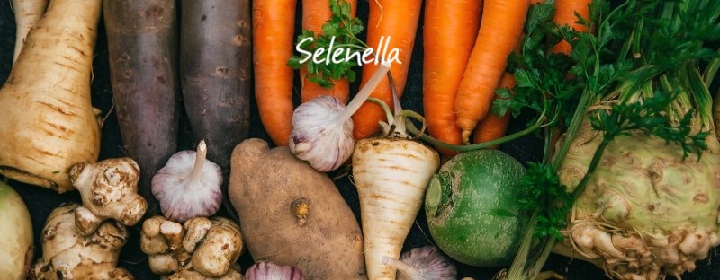 Radici commestibili: quali sono, benefici e uso in cucina - Il Blog di Selenella