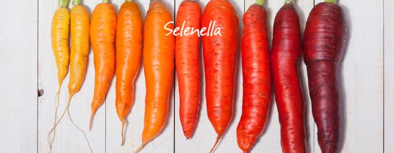 Tutti i tipi di carote - Il Blog di Selenella