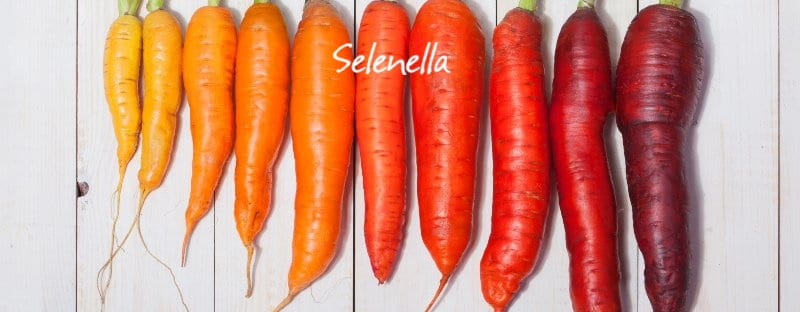 Tutti i tipi di carote Tutti i tipi di carote - Il Blog di Selenella