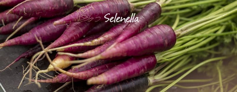5 benefici delle carote viola - Il Blog di Selenella