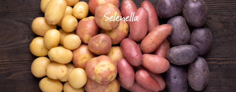 Come scegliere quali patate piantare - Il Blog di Selenella