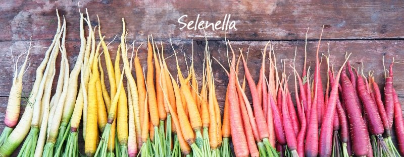 Come scegliere quali carote piantare - Il Blog di Selenella