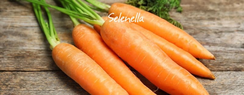 Chi soffre di diabete può mangiare carote? - Il Blog di Selenella