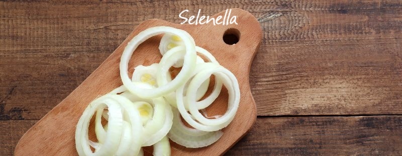 Le cipolle nella dieta: come inserirle e abbinarle - Il Blog di Selenella