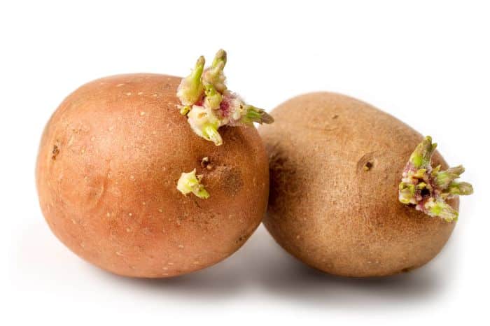 Patate germogliate, qual è il problema