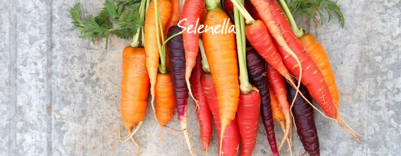 I colori delle carote e il loro ruolo nell’alimentazione - Il Blog di Selenella