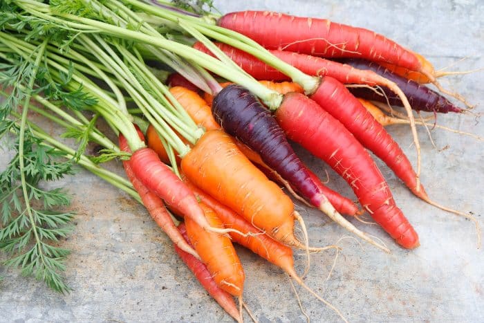 I colori delle carote