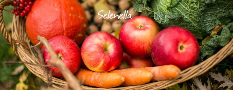 Frutta e verdura di stagione a novembre - Il Blog di Selenella