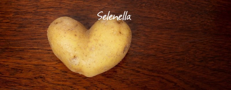 8 curiosità sulle patate che forse non conosci - Il Blog di Selenella
