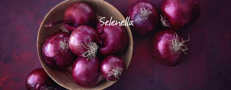 10 curiosità sulle cipolle che forse non conosci - Il Blog di Selenella