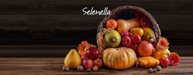 Frutta e verdura di stagione a novembre - Il Blog di Selenella