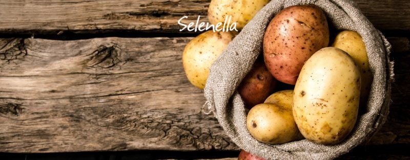 Le proprietà curative delle patate Le proprietà curative delle patate - Il Blog di Selenella