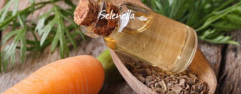 Olio essenziale di carota, proprietà e tutti gli usi - Il Blog di Selenella