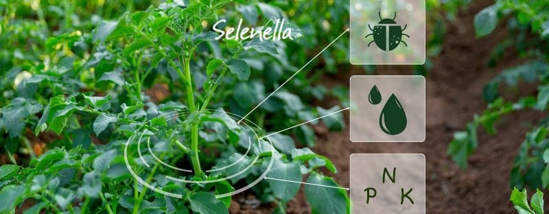 Agricoltura 4.0: cos’è e quali vantaggi offre Agricoltura 4.0: cos’è e quali vantaggi offre - Il Blog di Selenella