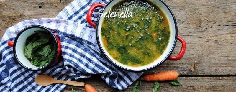 Erbe spontanee e carote: 5 ricette da provare - Il Blog di Selenella