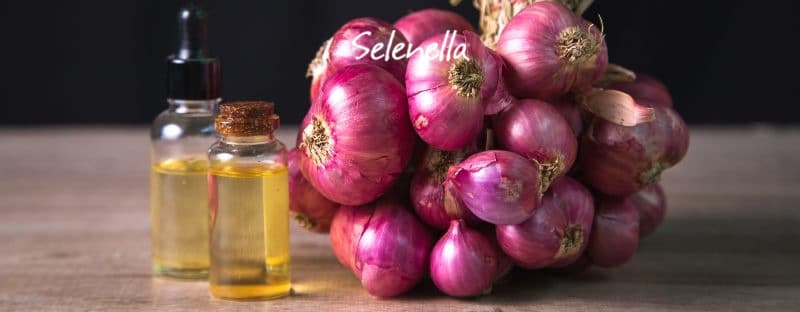 Olio di cipolla fai da te, proprietà e uso - Il Blog di Selenella