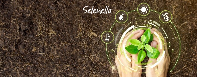 Agricoltura 4.0 in Italia: a che punto siamo Agricoltura 4.0 in Italia: a che punto siamo - Il Blog di Selenella