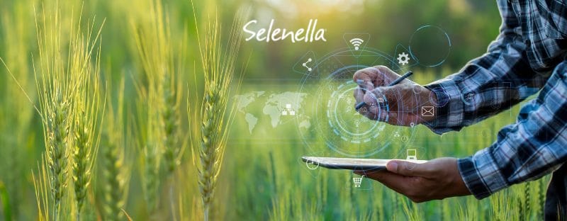 Azienda agricola digitale, cos’è e come funziona - Il Blog di Selenella